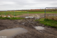 Walk down Cow Lane March 2024