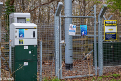 Walk down Cow Lane March 2024