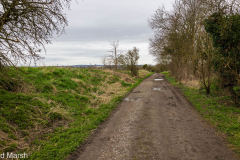 Walk down Cow Lane March 2024