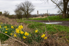 Walk down Cow Lane March 2024