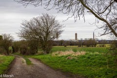 Walk down Cow Lane March 2024