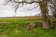 Walk down Cow Lane March 2024