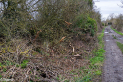 Walk down Cow Lane March 2024