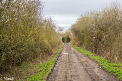 Walk down Cow Lane March 2024