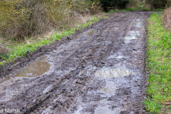 Walk down Cow Lane March 2024