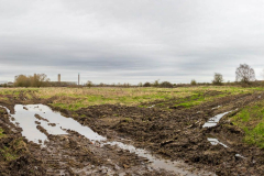 Walk down Cow Lane March 2024