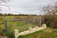 Walk down Cow Lane March 2024