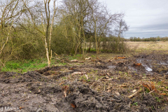 Walk down Cow Lane March 2024