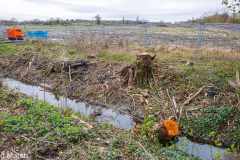 Walk down Cow Lane March 2024