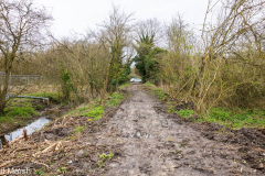 Walk down Cow Lane March 2024