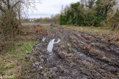 Walk down Cow Lane March 2024