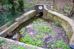 Walk down Cow Lane March 2024