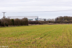 Walk down Cow Lane March 2024