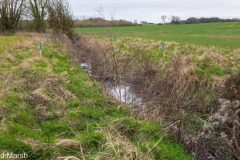 Walk down Cow Lane March 2024