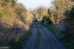 Cow Lane and GWP (Feb 2022)