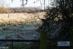 Cow Lane and GWP (Feb 2022)