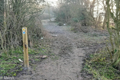 Cow Lane and GWP (Feb 2021)