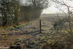 Cow Lane and GWP (Feb 2021)