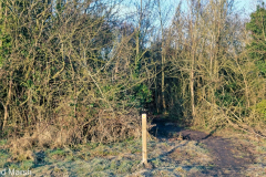 Cow Lane and GWP (Feb 2021)